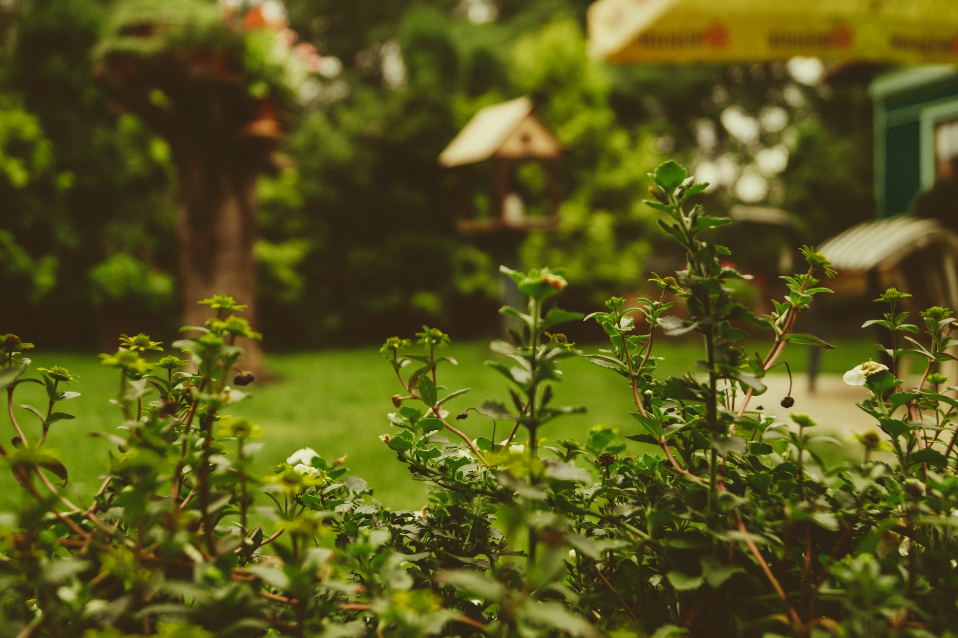 martin-knize-JjT_7MwREm4-unsplash